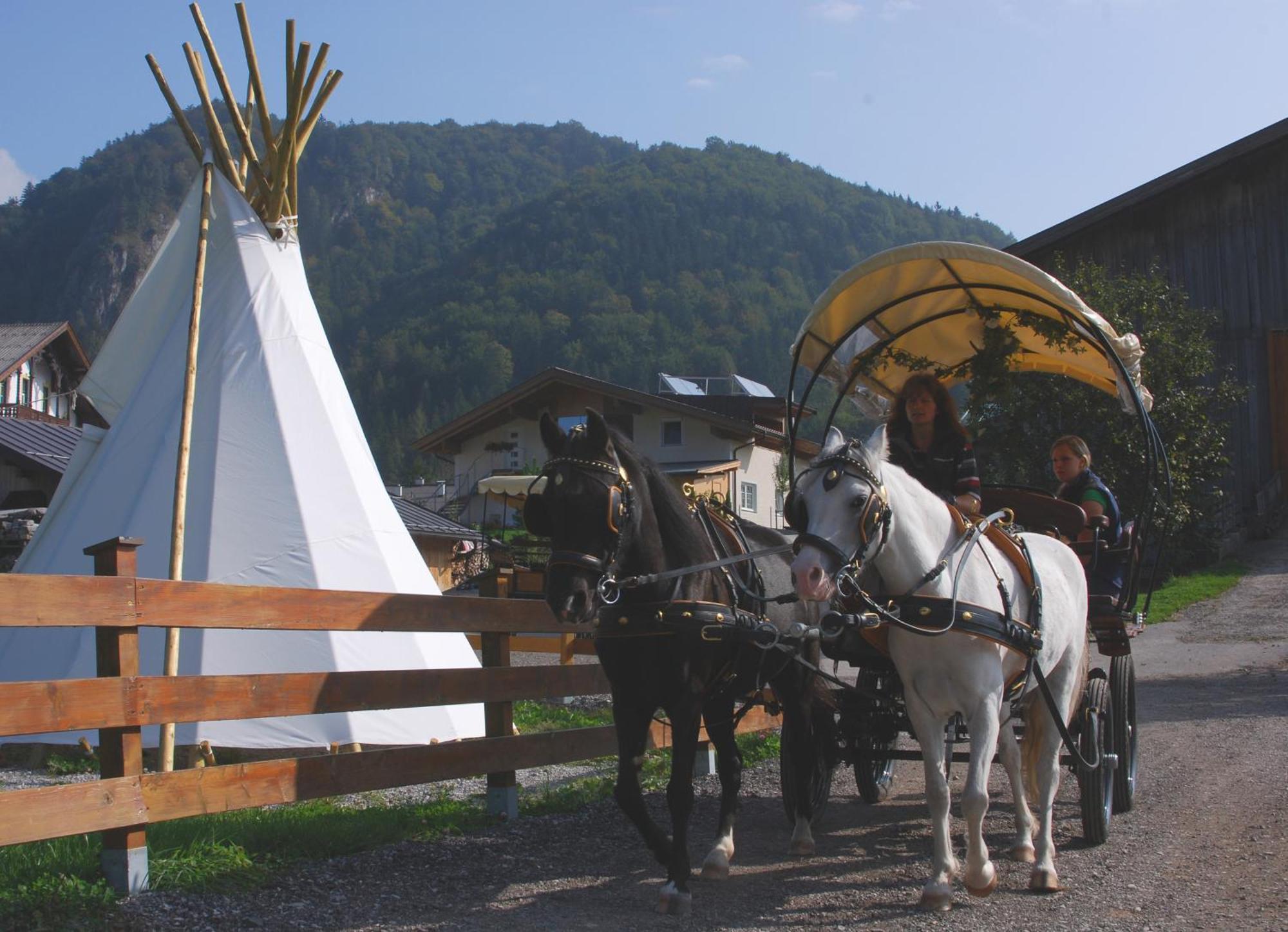 Reitanlage Dagnhof Walchsee