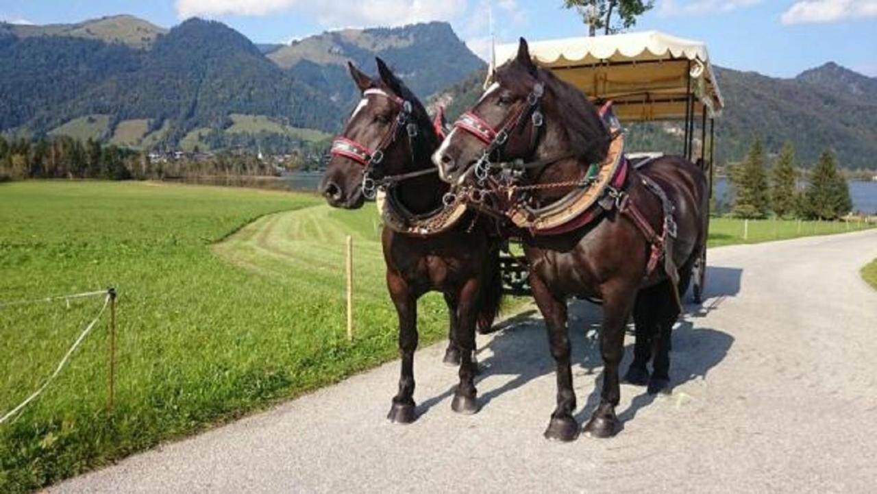 Apartment Reitanlage Dagnhof Walchsee